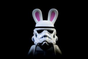 star wars bunny